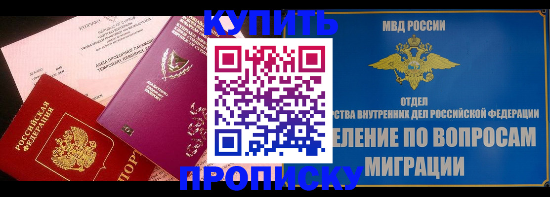где прописаться в Пионерском